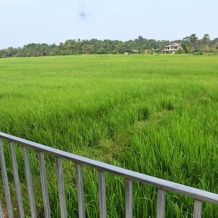 Meegahapokuna Resort Anuradhapura Buitenkant foto