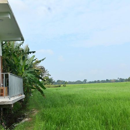 Meegahapokuna Resort Anuradhapura Buitenkant foto