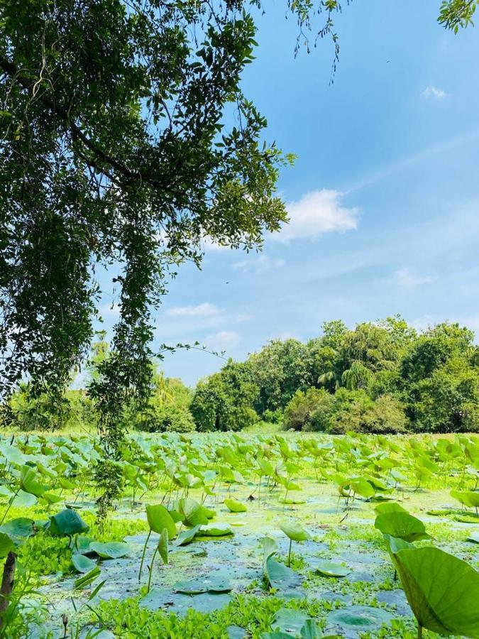 Meegahapokuna Resort Anuradhapura Buitenkant foto