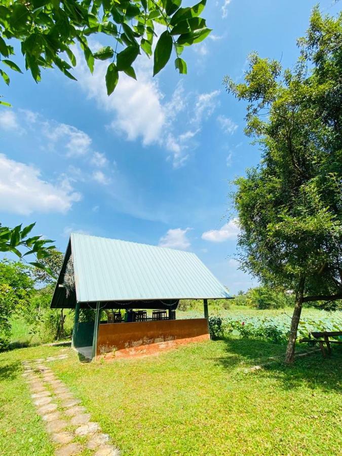 Meegahapokuna Resort Anuradhapura Buitenkant foto