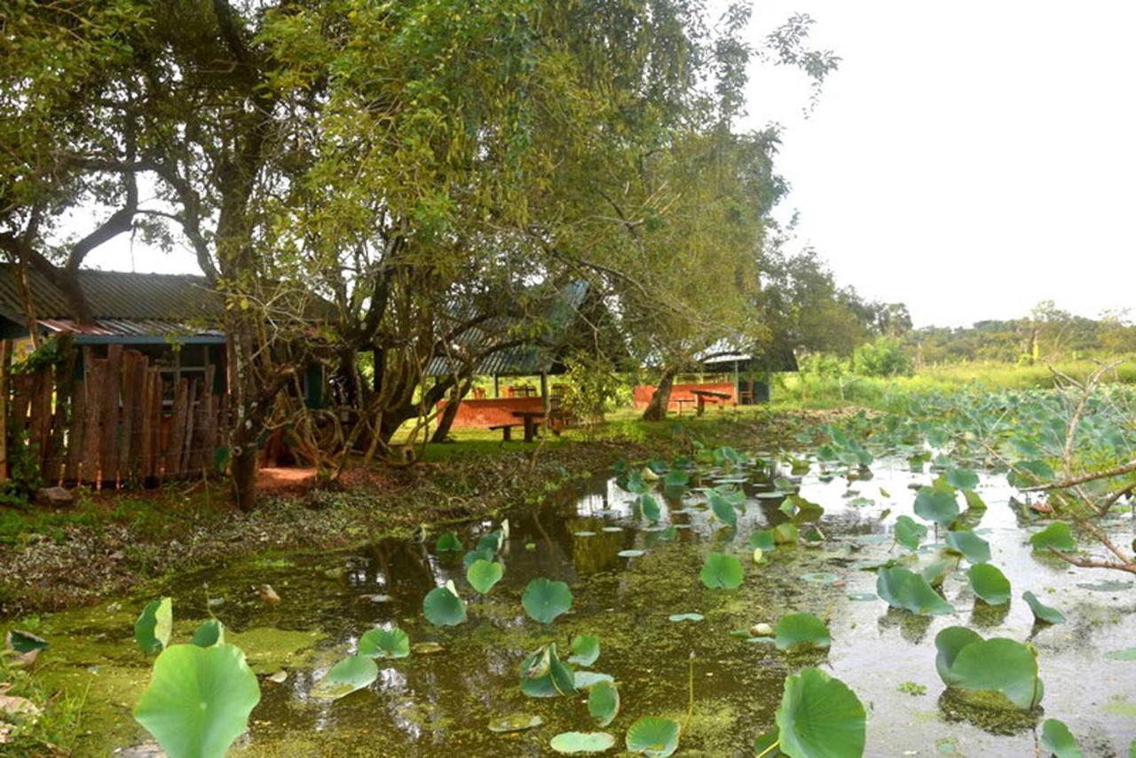 Meegahapokuna Resort Anuradhapura Buitenkant foto