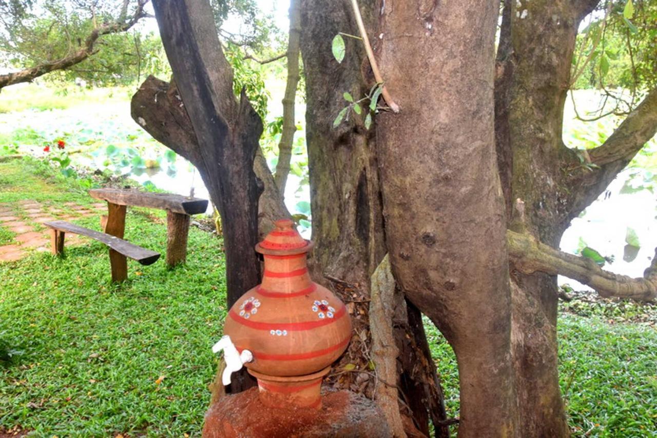 Meegahapokuna Resort Anuradhapura Buitenkant foto