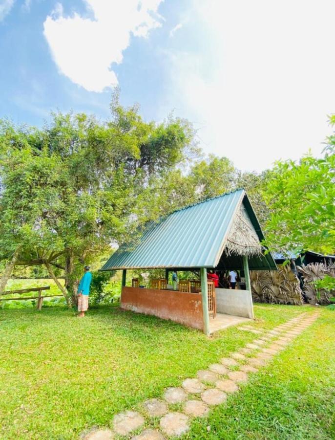 Meegahapokuna Resort Anuradhapura Buitenkant foto