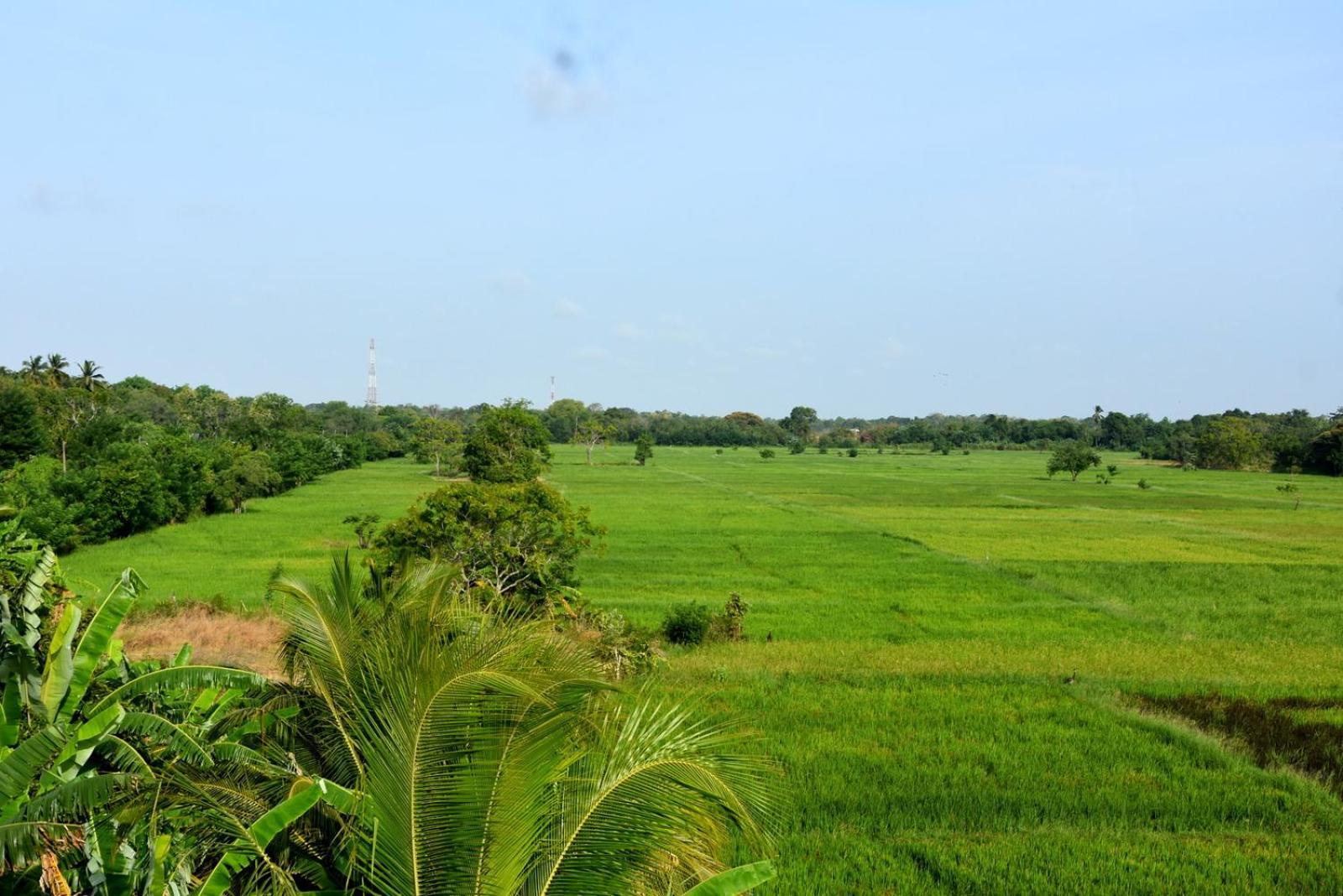 Meegahapokuna Resort Anuradhapura Buitenkant foto
