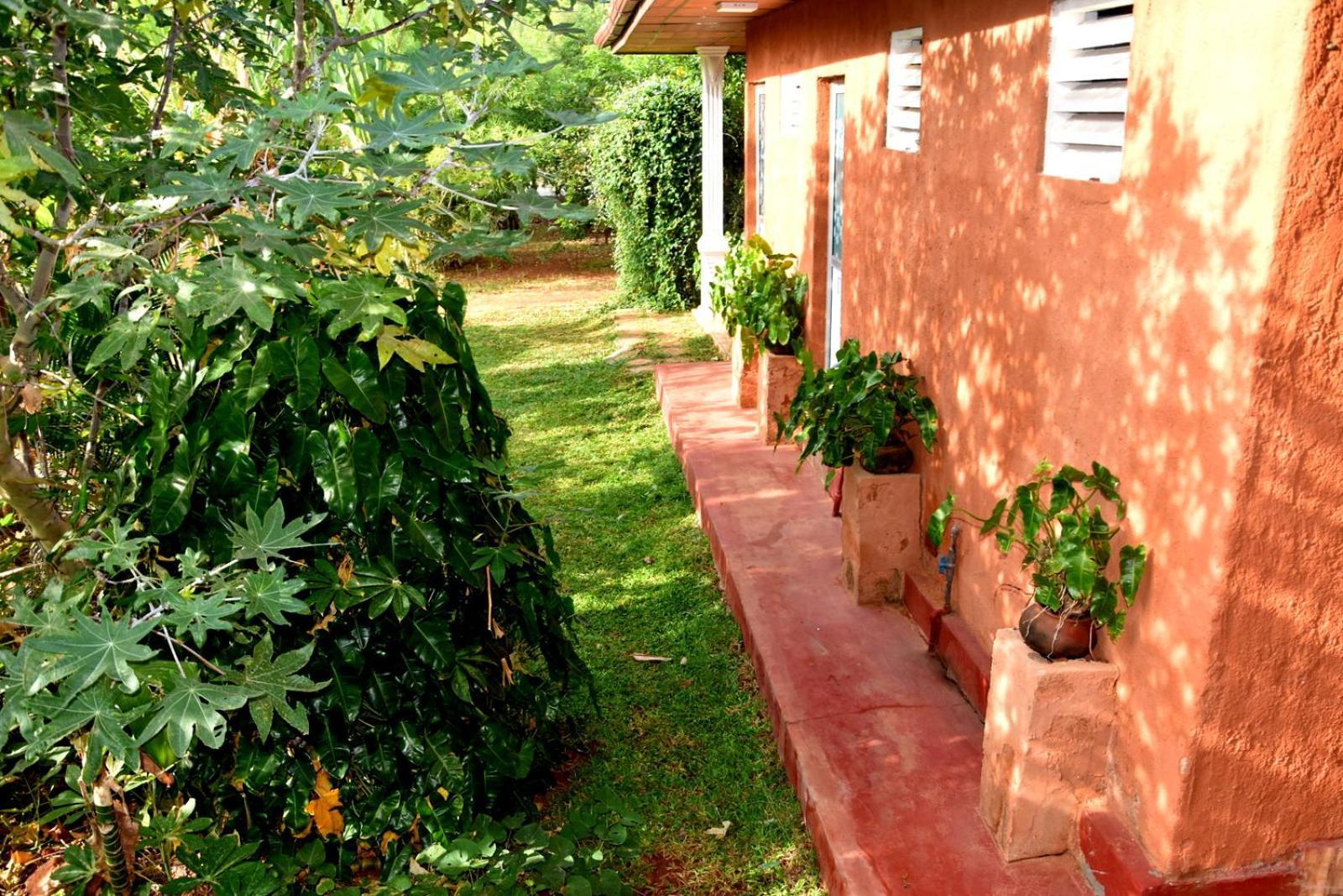 Meegahapokuna Resort Anuradhapura Buitenkant foto