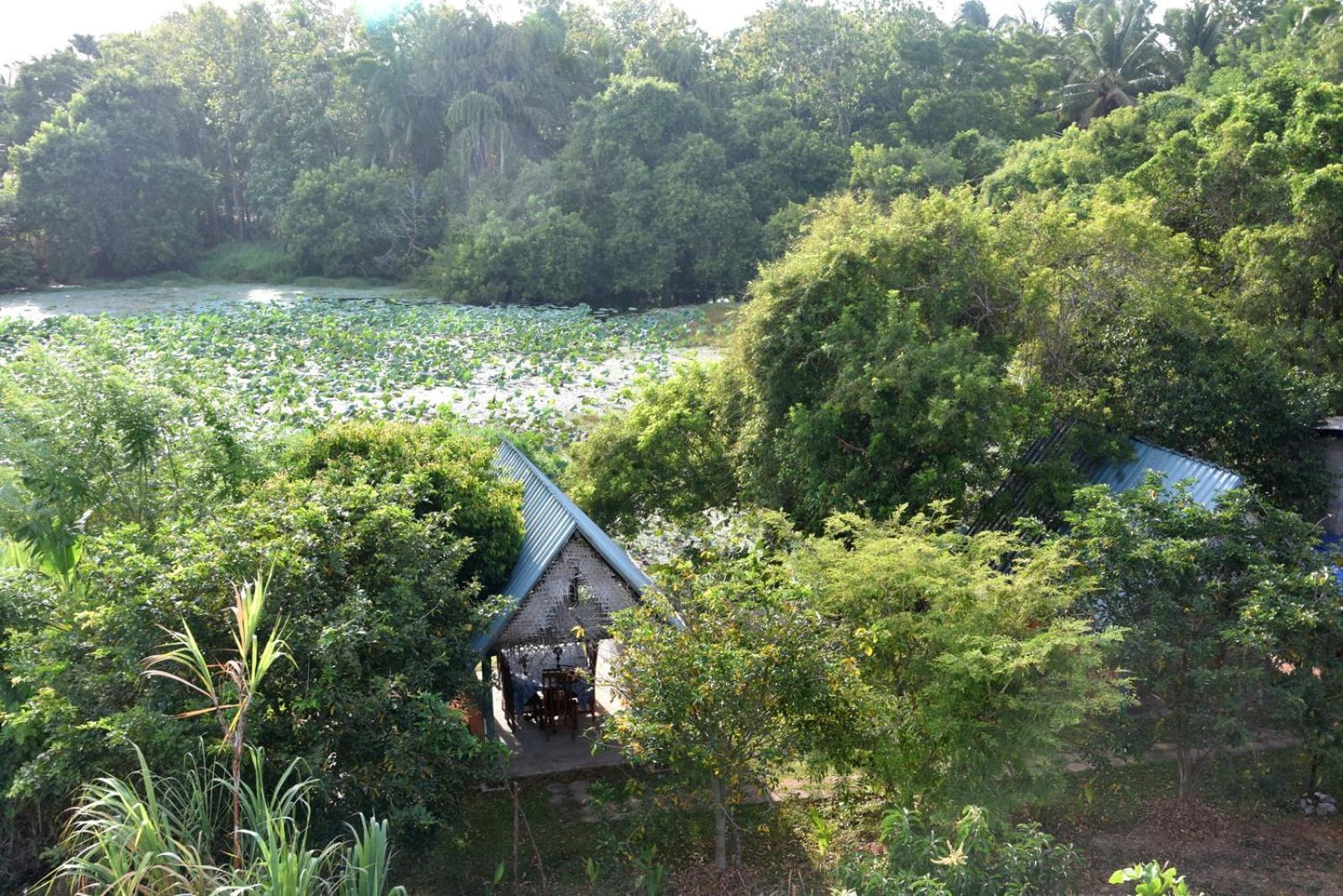 Meegahapokuna Resort Anuradhapura Buitenkant foto