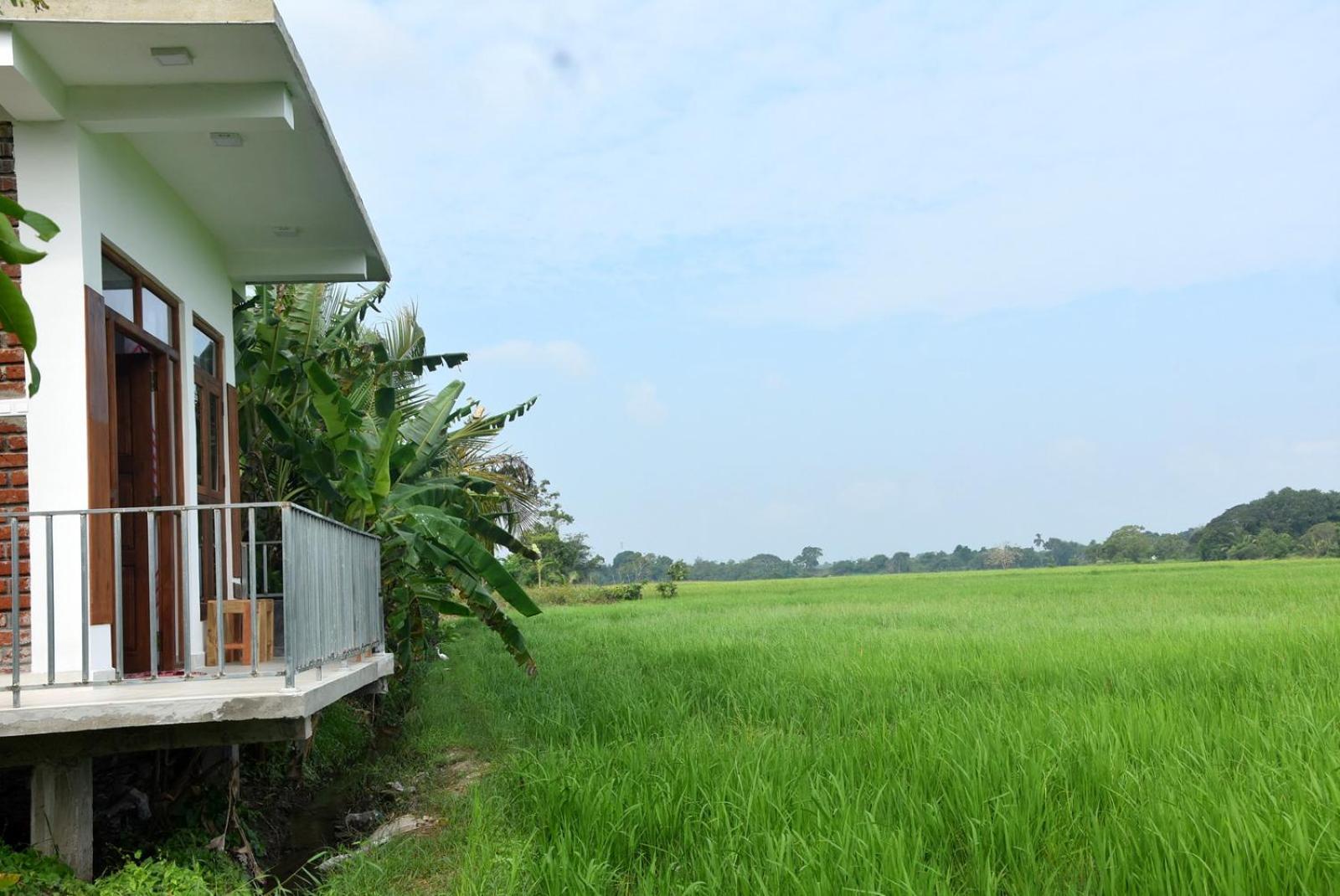 Meegahapokuna Resort Anuradhapura Buitenkant foto